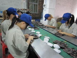 东莞安盈验货服务与预防保健服务的协同价值